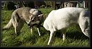 87 Hoest-Herbst-Autumn 07 * 3831 x 2016 * (5.48MB)